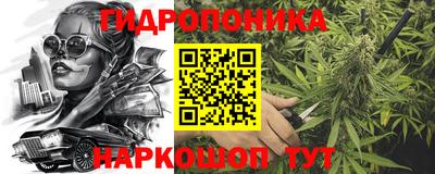 шишки Комсомольск-на-Амуре