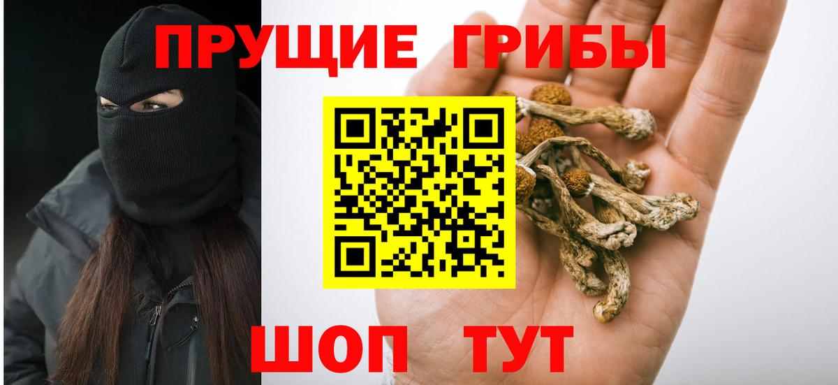 Псилоцибиновые грибы Magic Shrooms  Вход с VPN  Туапсе 